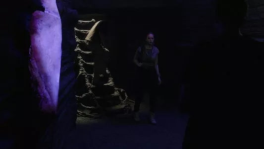 Image The Ark 8