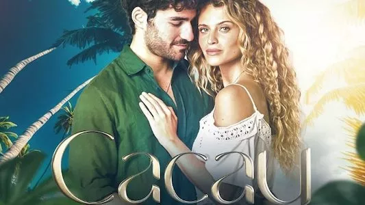 Image Cacao 26
