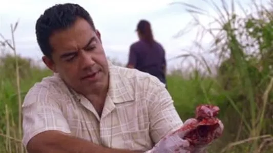 Image The Glades 10
