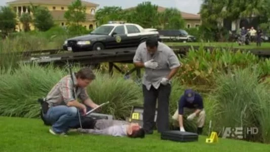 Image The Glades 13